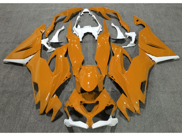 Orange Brillant & Blanc 19-23 ZX6R Carénage Moto