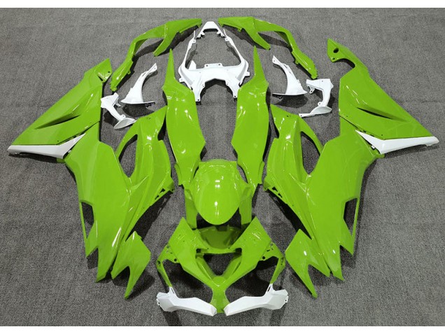 Vert Brillant & Blanc 19-23 ZX6R Carénage Moto